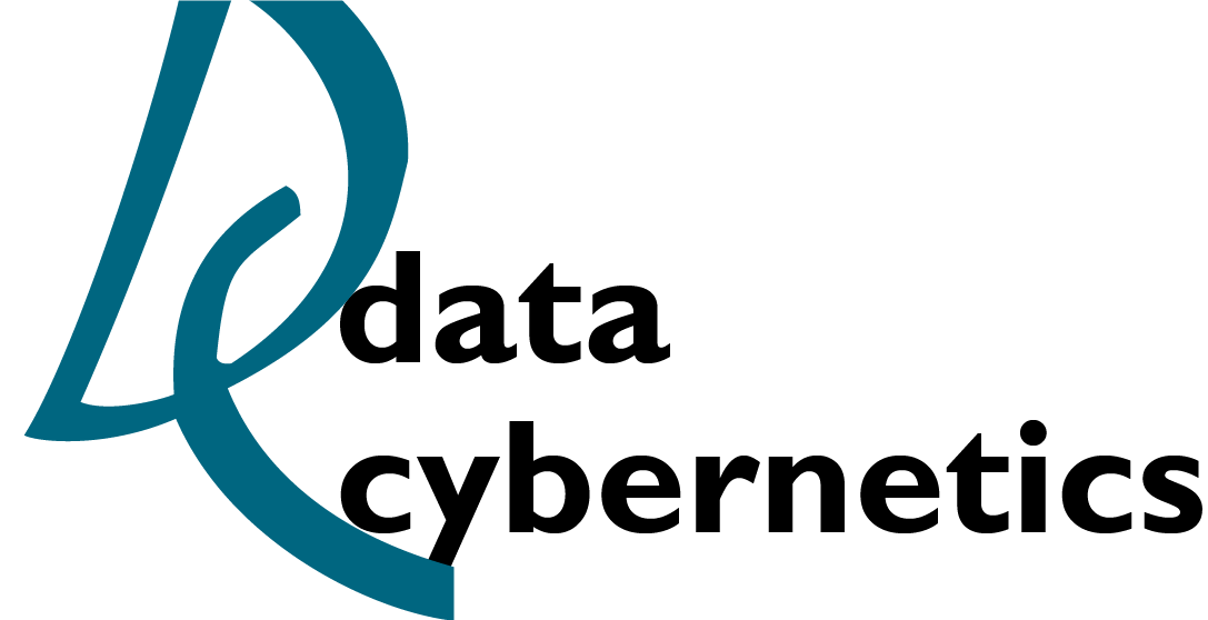 Data Cybernetics Logo